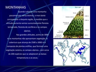 MONTANHAS 
Quando subimos uma montanha 
passamos por vários biomas, o mais baixo 
corresponde o daquela região, a medida que a 
altitude aumenta vemos sucessivamente floresta 
temperada, floresta de coníferas e os campos 
alpinos. 
Nas grandes altitudes, acima de 3000 
m as montanhas não apresentam vegetação. A 
cobertura que alcança de 2500 a 3000 m é 
composta de plantas orófilas, que formam uma 
vegetação rasteira, os campos alpinos-, com cerca 
de 200 espécies que se adaptaram as baixas 
temperaturas e as secas. 
 