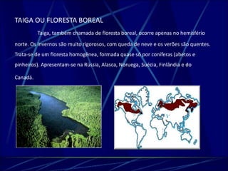 TAIGA OU FLORESTA BOREAL 
Taiga, também chamada de floresta boreal, ocorre apenas no hemisfério 
norte. Os invernos são muito rigorosos, com queda de neve e os verões são quentes. 
Trata-se de um floresta homogênea, formada quase só por coníferas (abetos e 
pinheiros). Apresentam-se na Rússia, Alasca, Noruega, Suécia, Finlândia e do 
Canadá. 
 
