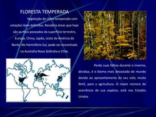 FLORESTA TEMPERADA 
Vegetação de clima temperado com 
estações bem definidas. Recobria áreas que hoje 
são as mais povoadas da superfície terrestre, 
Europa, China, Japão, Leste da América do 
Norte. No Hemisfério Sul, pode ser encontrada 
na Austrália Nova Zelândia e Chile. 
Perde suas folhas durante o inverno, 
decídua, é o bioma mais devastado do mundo 
devido ao aproveitamento do seu solo, muito 
fértil, para a agricultura. O maior número de 
ocorrência de sua espécie, está nos Estados 
Unidos 
 