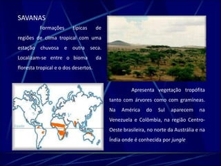 SAVANAS 
Formações típicas de 
regiões de clima tropical com uma 
estação chuvosa e outra seca. 
Localizam-se entre o bioma da 
floresta tropical e o dos desertos. 
Apresenta vegetação tropófita 
tanto com árvores como com gramíneas. 
Na América do Sul aparecem na 
Venezuela e Colômbia, na região Centro- 
Oeste brasileira, no norte da Austrália e na 
Índia onde é conhecida por jungle 
 