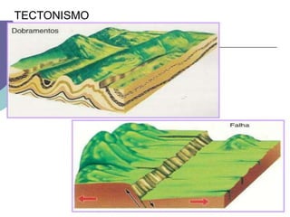 TECTONISMO 
 