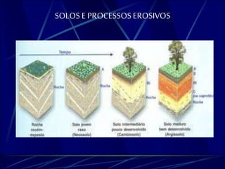 SOLOS E PROCESSOS EROSIVOS 
 