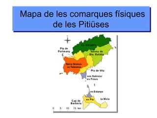 Mapa de les comarques físiques
de les Pitiüses
Mapa de les comarques físiques
de les Pitiüses
 