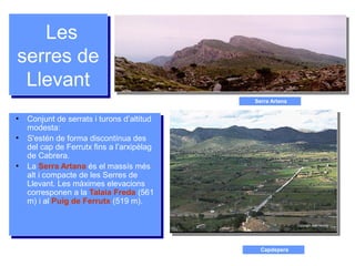 Les
serres de
Llevant
Les
serres de
Llevant
●
Conjunt de serrats i turons d’altitud
modesta:
●
S'estén de forma discontínua des
del cap de Ferrutx fins a l’arxipèlag
de Cabrera.
●
La Serra Artana és el massís més
alt i compacte de les Serres de
Llevant. Les màximes elevacions
corresponen a la Talaia Freda (561
m) i al Puig de Ferrutx (519 m).
●
Conjunt de serrats i turons d’altitud
modesta:
●
S'estén de forma discontínua des
del cap de Ferrutx fins a l’arxipèlag
de Cabrera.
●
La Serra Artana és el massís més
alt i compacte de les Serres de
Llevant. Les màximes elevacions
corresponen a la Talaia Freda (561
m) i al Puig de Ferrutx (519 m).
Serra Artana
Capdepera
 