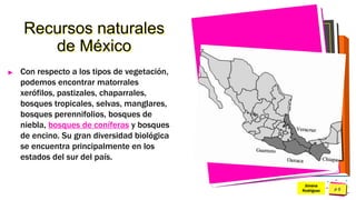Pedro
Armijo
Recursos naturales
de México
►
Jimena
Rodríguez
Con respecto a los tipos de vegetación,
podemos encontrar matorrales
xerófilos, pastizales, chaparrales,
bosques tropicales, selvas, manglares,
bosques perennifolios, bosques de
niebla, bosques de coníferas y bosques
de encino. Su gran diversidad biológica
se encuentra principalmente en los
estados del sur del país.
 