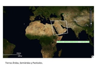Tierras Áridas, Semiáridas y Pastizales.
 