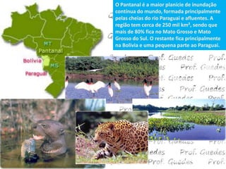 O Pantanal é a maior planície de inundação
contínua do mundo, formada principalmente
pelas cheias do rio Paraguai e afluentes. A
região tem cerca de 250 mil km², sendo que
mais de 80% fica no Mato Grosso e Mato
Grosso do Sul. O restante fica principalmente
na Bolívia e uma pequena parte ao Paraguai.
 