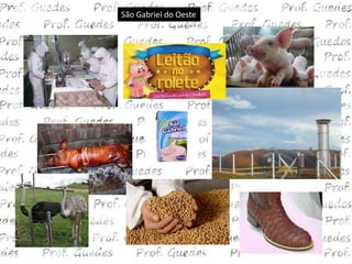 São Gabriel do Oeste
 