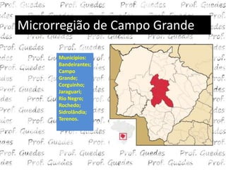 Microrregião de Campo Grande

      Municípios:
      Bandeirantes;
      Campo
      Grande;
      Corguinho;
      Jaraguari;
      Rio Negro;
      Rochedo;
      Sidrolândia;
      Terenos.
 