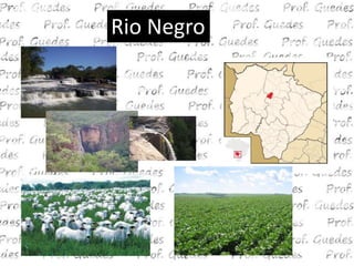 Rio Negro
 