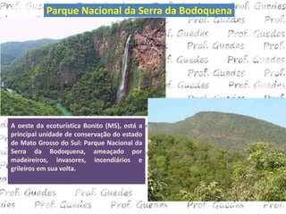 Parque Nacional da Serra da Bodoquena




A oeste da ecoturística Bonito (MS), está a
principal unidade de conservação do estado
de Mato Grosso do Sul: Parque Nacional da
Serra da Bodoquena, ameaçado por
madeireiros, invasores, incendiários e
grileiros em sua volta.
 