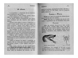 Geografia portugal e colónias 3ª e 4ª classes