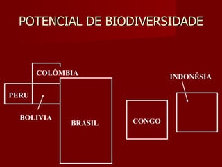 POTENCIAL DE BIODIVERSIDADE BRASIL PERU COLÔMBIA BOLIVIA CONGO INDONÉSIA 