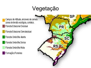 Vegetação 