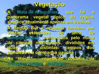 Vegetação A  Mata de Araucárias , que foi o panorama vegetal típico da região, aparece atualmente apenas em trechos; A Região Sul é ocupada também por vastas extensões de terra de  campos limpos , conhecidos pelo nome de campos meridionais, divididos em duas  áreas  distintas: campos dos planaltos e a campanha gaúcha No litoral – vegetação costeira de  mangues ,  praias  e  restingas .  