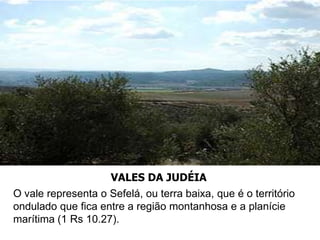 VALES DA JUDÉIA
O vale representa o Sefelá, ou terra baixa, que é o território
ondulado que fica entre a região montanhosa e a planície
marítima (1 Rs 10.27).
 