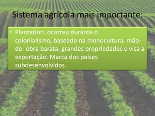 Sistema agrícola mais importante:
• Plantation: ocorreu durante o
  colonialismo, baseado na monocultura, mão-
  de- obra barata, grandes propriedades e visa a
  exportação. Marca dos países
  subdesenvolvidos.
 