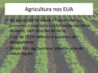 Agricultura nos EUA
• No século XIX foi criada a Homestead Act,
  promovia a imigração e colonização das terras
  do oeste, com doações de terra;
• Crise de 1929= falência e aumento da
  desigualdade;
• Século XXI= agribusiness: elevado grau de
  mecanização;
 