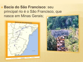  Bacia do São Francisco: seu 
principal rio é o São Francisco, que 
nasce em Minas Gerais; 
 
