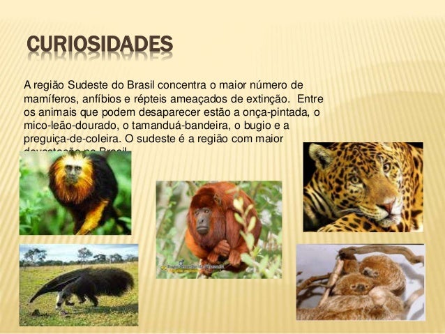 REGIÃO SUDESTE