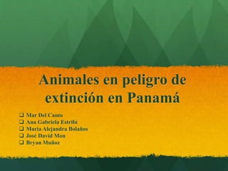 Animales en peligro de
extinción en Panamá
 Mar Del Canto
 Ana Gabriela Estribí
 Maria Alejandra Bolaños
 José David Mon
 Bryan Muñoz
 