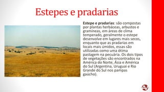Estepes e pradarias
Estepe e pradarias: são compostas
por plantas herbáceas, arbustos e
gramíneas, em áreas de clima
temperado, geralmente o estepe
desenvolve em lugares mais secos,
enquanto que as pradarias em
locais mais úmidos, essas são
utilizadas como uma ótima
pastagem na pecuária. Os dois tipos
de vegetações são encontrados na
América do Norte, Ásia e América
do Sul (Argentina, Uruguai e Rio
Grande do Sul nos pampas
gaúcho).
 