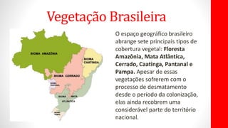 Vegetação Brasileira
O espaço geográfico brasileiro
abrange sete principais tipos de
cobertura vegetal: Floresta
Amazônia, Mata Atlântica,
Cerrado, Caatinga, Pantanal e
Pampa. Apesar de essas
vegetações sofrerem com o
processo de desmatamento
desde o período da colonização,
elas ainda recobrem uma
considerável parte do território
nacional.
 