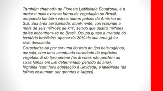 Também chamada de Floresta Latifoliada Equatorial, é a
maior e mais extensa forma de vegetação no Brasil,
ocupando também vários outros países da América do
Sul. Sua área aproximada, atualmente, corresponde a
mais de seis milhões de km², sendo que quatro milhões
deles encontram-se no Brasil. Ocupa quase a metade do
território brasileiro, apesar de 20% de sua área já ter
sido devastada.
Caracteriza-se por ser uma floresta do tipo heterogênea,
ou seja, com uma acentuada variedade de espécies
vegetais. É do tipo perene (as árvores não perdem as
suas folhas em um determinado período do ano),
higrófita (com fácil adaptação à umidade) e latifoliada (as
folhas costumam ser grandes e largas).
 