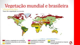 Vegetação mundial e brasileira
 