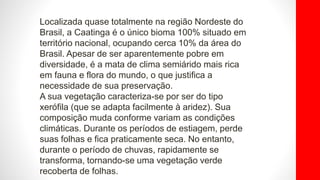 Localizada quase totalmente na região Nordeste do
Brasil, a Caatinga é o único bioma 100% situado em
território nacional, ocupando cerca 10% da área do
Brasil. Apesar de ser aparentemente pobre em
diversidade, é a mata de clima semiárido mais rica
em fauna e flora do mundo, o que justifica a
necessidade de sua preservação.
A sua vegetação caracteriza-se por ser do tipo
xerófila (que se adapta facilmente à aridez). Sua
composição muda conforme variam as condições
climáticas. Durante os períodos de estiagem, perde
suas folhas e fica praticamente seca. No entanto,
durante o período de chuvas, rapidamente se
transforma, tornando-se uma vegetação verde
recoberta de folhas.
 