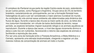 O complexo do Pantanal ocupa parte da região Centro-oeste do país, estendendo-
se por outros países, como Paraguai e Argentina. Ocupa cerca de 2% do território
brasileiro, caracterizando-se, principalmente, por ser a formação florestal mais
heterogênea do país e por ser considerada a maior planície inundável do mundo.
As condições de vida animal nesse ambiente são determinadas pela dinâmica dos
fluxos de água. Durante a época das chuvas (a maior parte do ano), os leitos dos
rios costumam transbordar, em virtude da baixa declividade do terreno; nesse
período, as espécies terrestres migram buscando refúgio e os animais aquáticos se
reproduzem. Durante a época das secas, o nível das águas novamente diminui e
deixa o solo rico em nutrientes, favorecendo o retorno das espécies de animais e
facilitando a reprodução das aves.
Por ser uma zona de transição entre a Floresta Amazônica, a Mata Atlântica e o
Cerrado, apresenta uma elevada biodiversidade, chegando a registrar um dos
maiores índices de concentração de animais em todo o mundo.
 