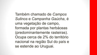 Também chamado de Campos
Sulinos e Campanha Gaúcha, é
uma vegetação de campo,
formada por plantas herbáceas
(predominantemente rasteiras).
Ocupa cerca de 2% do território
nacional na região Sul do país e
se estende ao Uruguai.
 