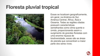 Floresta pluvial tropical
Essas se localizam geograficamente,
em geral, na América do Sul,
América Central, África, Ásia e
Oceania. Todas as regiões citadas
possuem características
semelhantes como clima quente e
úmido, proporcionando assim o
surgimento de grandes florestas com
uma enorme riqueza de
biodiversidade, essas são as áreas
do planeta que concentram a maior
parte dos seres vivos.
 