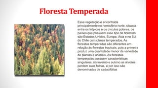 Floresta Temperada
Essa vegetação é encontrada
principalmente no hemisfério norte, situada
entre os trópicos e os círculos polares, os
países que possuem esse tipo de florestas
são Estados Unidos, Europa, Ásia e no Sul
do Chile com climas temperados. As
florestas temperadas são diferentes em
relação às florestas tropicais, pois a primeira
produz uma quantidade menor de variedade
de plantas e animais. As florestas
temperadas possuem características
singulares, no inverno e outono as árvores
perdem suas folhas, e por isso são
denominadas de caducifólias
 