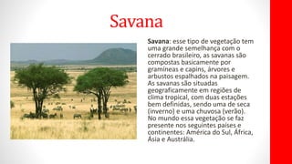 Savana
Savana: esse tipo de vegetação tem
uma grande semelhança com o
cerrado brasileiro, as savanas são
compostas basicamente por
gramíneas e capins, árvores e
arbustos espalhados na paisagem.
As savanas são situadas
geograficamente em regiões de
clima tropical, com duas estações
bem definidas, sendo uma de seca
(inverno) e uma chuvosa (verão).
No mundo essa vegetação se faz
presente nos seguintes países e
continentes: América do Sul, África,
Ásia e Austrália.
 