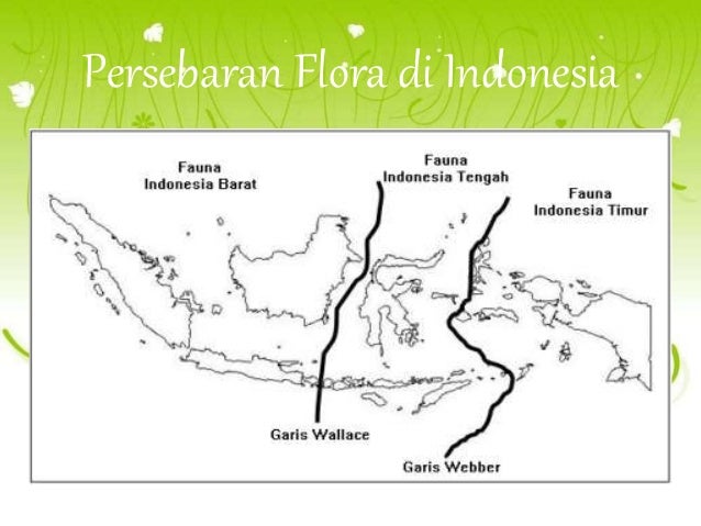 Persebaran Fauna dan Flora di Indonesia