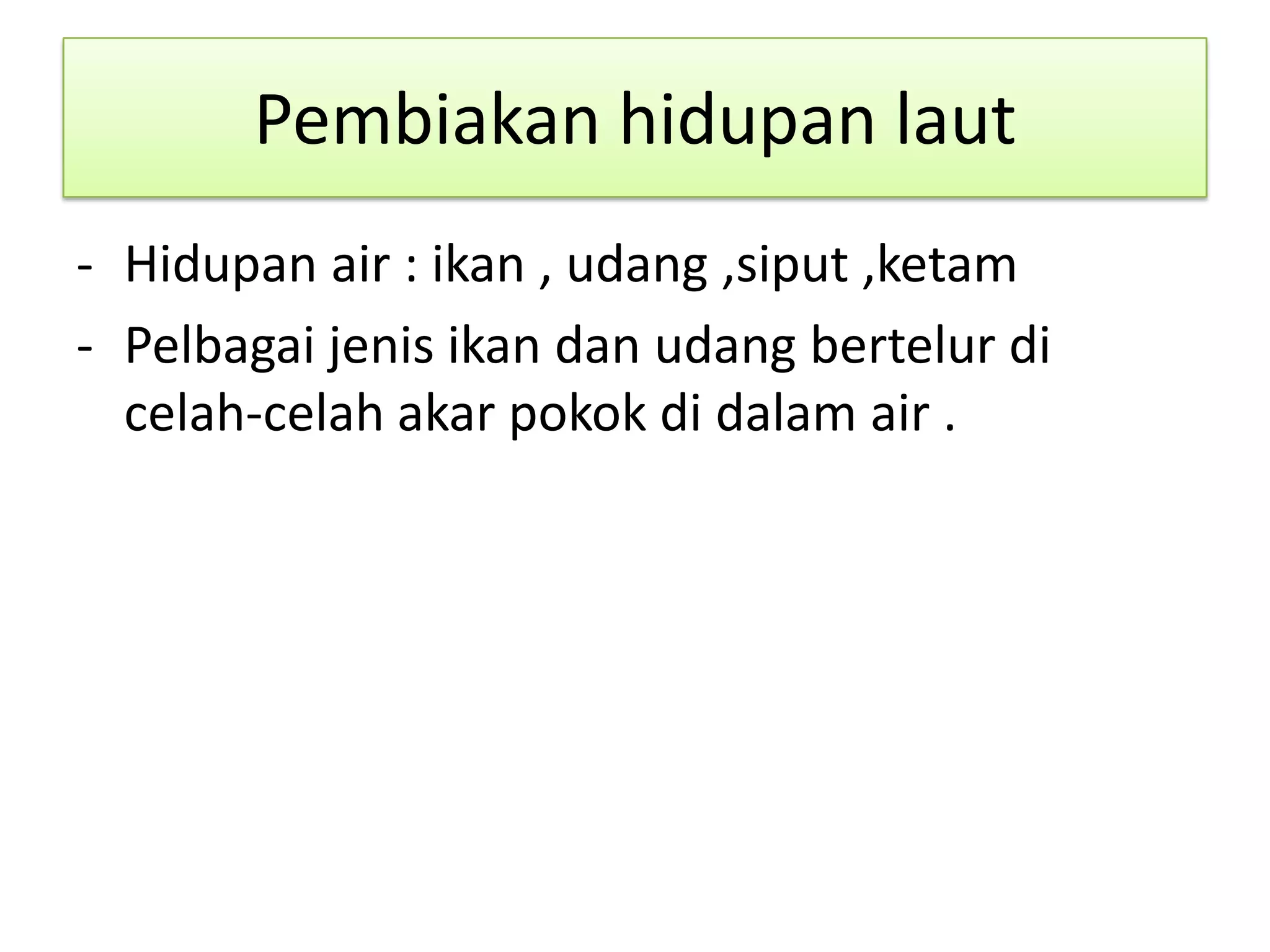 Pembiakan hidupan laut
- Hidupan air : ikan , udang ,siput ,ketam
- Pelbagai jenis ikan dan udang bertelur di
celah-celah akar pokok di dalam air .
 