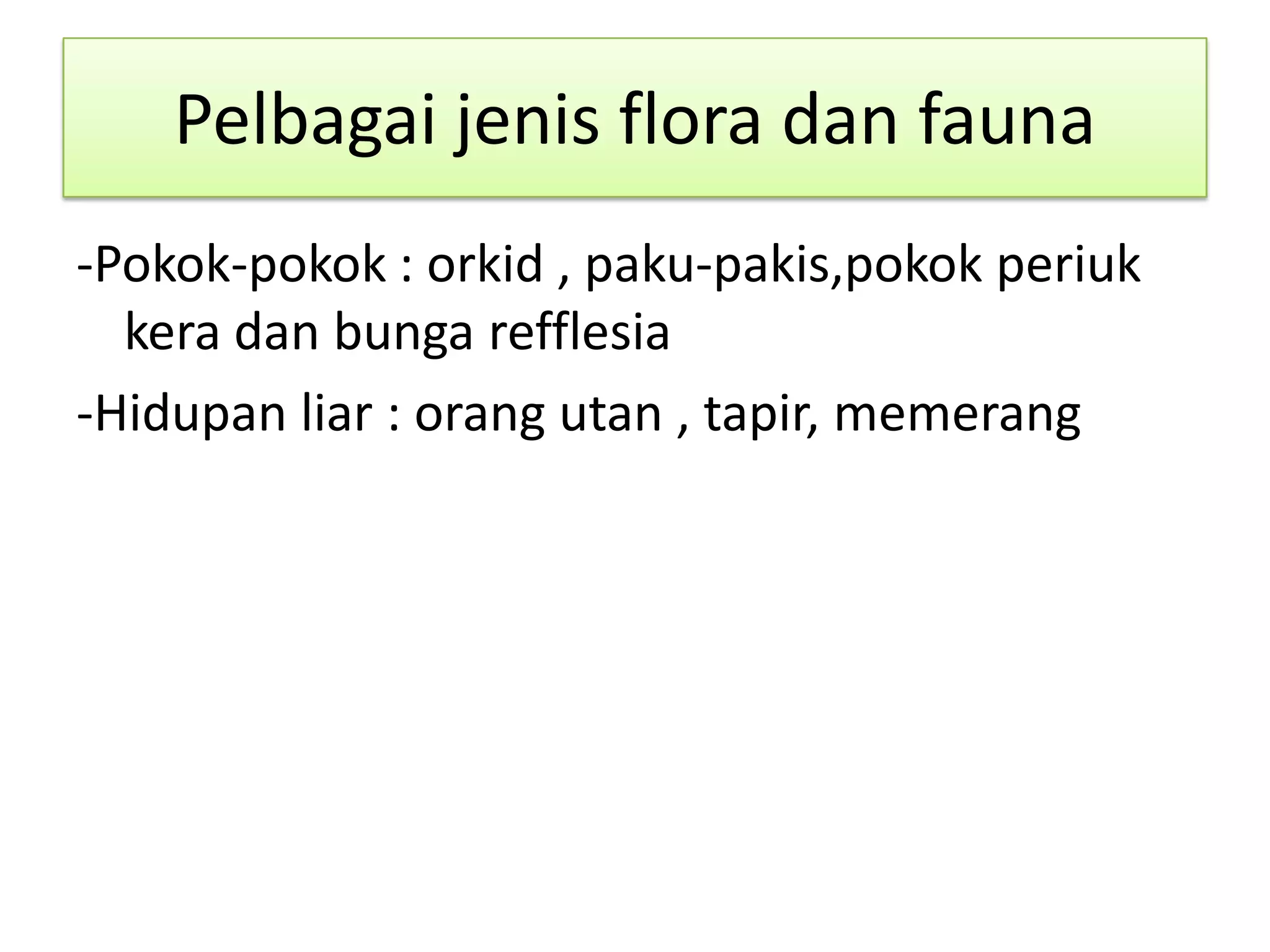 Pelbagai jenis flora dan fauna
-Pokok-pokok : orkid , paku-pakis,pokok periuk
kera dan bunga refflesia
-Hidupan liar : orang utan , tapir, memerang
 