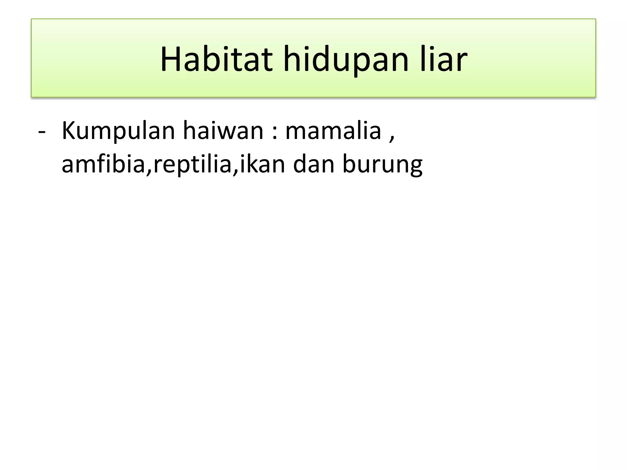 Habitat hidupan liar
- Kumpulan haiwan : mamalia ,
amfibia,reptilia,ikan dan burung
 
