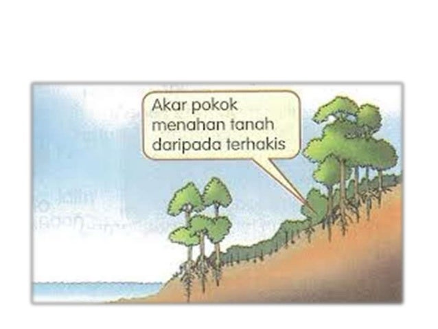 Geografi f1 bab 14