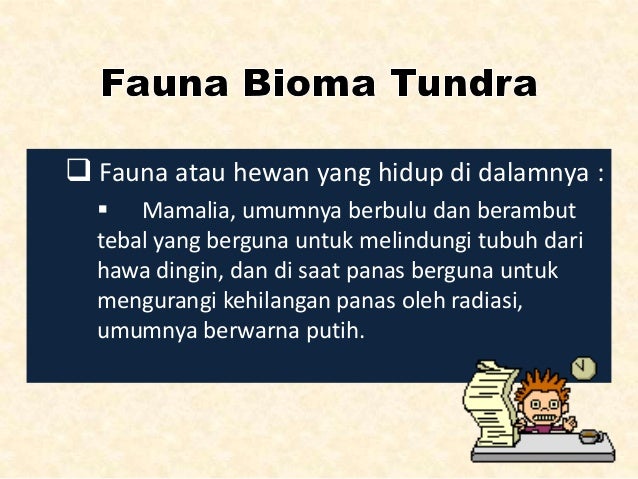 Geografi flora fauna euthopian tundra taiga