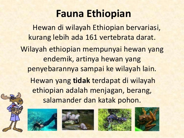 Unduh 47 Gambar Fauna Wilayah Ethiopian Paling Bagus Gratis