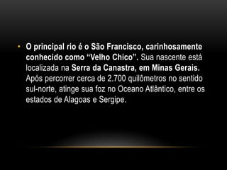• O principal rio é o São Francisco, carinhosamente
conhecido como “Velho Chico”. Sua nascente está
localizada na Serra da Canastra, em Minas Gerais.
Após percorrer cerca de 2.700 quilômetros no sentido
sul-norte, atinge sua foz no Oceano Atlântico, entre os
estados de Alagoas e Sergipe.
 