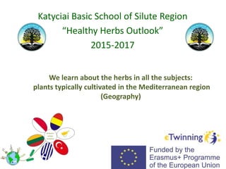 We learn about the herbs in all the subjects:
plants typically cultivated in the Mediterranean region
(Geography)
Katyciai Basic School of Silute Region
“Healthy Herbs Outlook”
2015-2017
 
