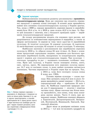 62
Розділ II. Первинний сектор господарства
1	 Зернові культури.
Найважливішим показником розвитку рослинництва є врожайність
сільськогосподарських культур. Вона дає уявлення про кількість отрима-
ної продукції з  одиниці площі (гектара). В  останні роки врожайність
майже всіх основних сільськогосподарських культур в  Україні зростає.
Так, якщо у  2000  р. середня врожайність зернових (разом із зернобобо-
вими) була 19,4  ц/га, то у  2016  р. вона склала 42,3  ц/га (мал.  1). Про-
те цей показник є  нижчим, ніж у  більшості провідних країн  — вироб-
ників сільськогосподарської продукції.
До складу рослинництва входять сім основ­них груп рослин, які
розрізняються за особ­ливостями вирощування й  переробки, а  також за
сферою застосування: 1)  зернові (у тому числі круп’яні й  зернобобові)
культури; 2)  технічні культури; 3)  кормові культури; 4)  картопля;
5) овоче-баштанні культури; 6) плодові та ягідні культури; 7) виноград.
Найбільше значення в  рослинництві має виробництво зернових
культур (у 2016  р. їх зібрали понад 65  млн т) (мал.  2). Вони є  основ­
ними продуктами харчування людини, сировиною для багатьох про-
мислових виробництв (хліба, макаронних та кондитерських виробів,
круп) і  кормом для сільськогосподарських тварин. Три культури  —
пшеницю, кукурудзу та рис  — називають головними «хлібами» люд-
ства. Крім цих культур, в  Україні також поширені ячмінь, жито,
овес, гречка, просо. На вирощування всіх зернових культур припа-
дає 14,7  млн га посівних площ, із яких майже половина засівається
пшеницею. Частина вирощеного в  Україні зерна йде на продаж. Так,
у  2015  р. сума його експорту склала понад
6  млрд дол. США.
Головна зернова культура  — озима пше-
ниця. Нею засівають понад 6,5 млн га ріллі. Се-
редня врожайність озимої пшениці — 38,8 ц/га,
середньорічний збір  — приблизно 25  млн т
(мал.  3). Найбільш сприятливі природні умо-
ви для її вирощування  — лісостеп і  північна
частина степу. Ярова пшениця має більш низь-
ку врожайність, ніж озима, тому вона поши-
рена значно менше. Часто її сіють при ви-
мерзанні озимих. Найбільше пшениці збирають
у  Харківській, Дніпропетровській, Запорізь-
кій, Полтавській, Вінницькій, Одеській, Хер-
сонській областях.
Друге місце за розмірами посівних площ
(у 2015 р. — 4,1 млн га) належить кукурудзі на
Мал. 1. Велика перевага зернових  —
можливість їх зберігання і  створення за­
пасів на кілька років. Важливо й  те, що
їх зручно транспортувати, а  способи
приготування їжі із зерна досить прості.
У  зерні містяться всі необхідні для лю­
дей і  тварин поживні речовини, воно
має сприятливе співвідношення білків
і  вуглеводів (1 : 5—6).
 
