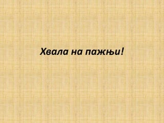 Хвала на пажњи!
 