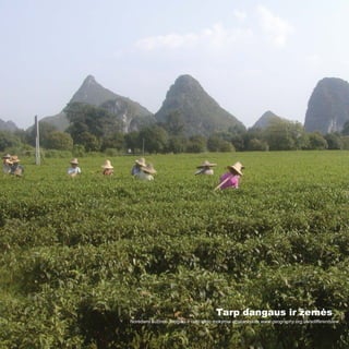 Tarp dangaus ir žemės
Norėdami sužinoti daugiau ir rasti idėjų mokymui apsilankykite www.geography.org.uk/adifferentview
 