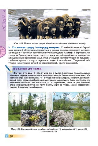 Р
ZlVSO
Мал. 159. Маючи тепле хутро, вівцебики не бояться північного холоду
Ь Хто населяє тундру і лісотундру материка. У західній частині Євразії
зона тундри і лісотундри формується в умовах м’якого морського клімату,
а в східній - в умовах континтального й холодного клімату. В європейській
тундрі не буває суворих зим, тому тут, крім мохів і лишайників, трапляють­
ся рідколісся і криволісся (мал. 160). У східній частині тундри на тундрово-
глейових ґрунтах ростуть переважно мохи й лишайники. Тваринний світ
тундри і лісотундри хоча й не різноманітний, проте численний.
Н О Т А Т К И Д О Т Е М И
Ж и т т я т у н д р и й л і с о т у н д р и . У тундрі й лісотундрі Євразії поширені
мініатюрні дерева заввишки лише кілька сантиметрів. Вони стеляться по землі, аби
невпинні вітри їх не висушили. Як і в тундрі Північної Америки, короткий, але благо­
датний сезон росту приваблює в цю зону тварин, що мігрують. Сюди прилітають для
виведення потомства 200 млн птахів, у т. ч. перевізники, качки та гуси. Північний
олень (або карибу) зимує в зоні тайги, а влітку мігрує до тундри. Там він народжує по­
томство й живиться лишайниками.
Мал. 160. Рослинний світ тундри: рідколісся (1), криволісся (2), мохи (3),
лишайники (4)
200
 