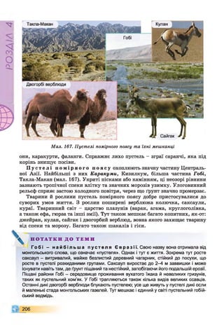 Р
ZlVSO
Мал. 167. Пустелі помірного поясу та їхні мешканці
Такла-Макан
Двогорбі верблюди
Сайгак
1■-
они, каракурти, фаланги. Справжнє лихо пустель - зграї саранчі, яка під
корінь знищує посіви.
Пу с т е л і п о м і р н о г о п о я с у охоплюють значну частину Централь­
ної Азії. Найбільші з них Каракуми, Кизилкум, більша частина Гобі,
Такла-Макан (мал. 167). Укриті пісками або камінням, ці неозорі рівнини
зазнають тропічної спеки влітку та значних морозів узимку. Улоговинний
рельєф сприяє застою холодного повітря, через що ґрунт значно промерзає.
Тварини й рослини пустель помірного поясу добре пристосувалися до
суворих умов життя. З рослин поширені верблюжа колючка, саксаули,
кураї. Тваринний світ - царство плазунів (варан, агама, круглоголівка,
а також ефа, гюрза та інші змії). Тут також мешкає багато копитних, як-от:
джейран, кулан, сайгак і двогорбий верблюд, вовна якого захищає тварину
від спеки та морозу. Багато також шакалів і гієн.
Н О Т А Т К И Д О Т Е М И
Гобі - н а й б і л ь ш а п у с т е л я Є в р а з і ї . Свою назву вона отримала від
монгольського слова, що означає «пустеля». Однак і тут є життя. Зокрема тут росте
саксаул - витривалий, майже безлистий деревний чагарник, стійкий до посухи, що
росте в пустелі розкиданими групами. Саксаул виростає до 2-4 м заввишки і може
існувати навіть там, де ґрунт піщаний та нестійкий, запобігаючи його подальшій ерозії.
Піщані райони Гобі - середовище проживання вухатого їжака й невеликих гризунів,
таких як пустельний хом’як. У Гобі трапляються також кілька видів великих ссавців.
Останні дикі двогорбі верблюди блукають пустелею; усе ще живуть у пустелі дикі осли
й маленькі стада монгольських газелей. Тут мешкає і єдиний у світі пустельний гобій-
ський ведмідь.
206
 
