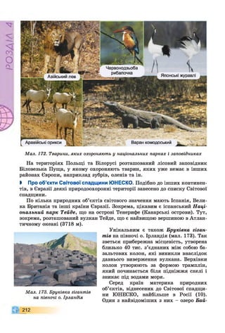 Р
ZlVSO
Азійський лев
Червонодзьоба
рибалочка
Японські журавлі
Аравійські орикси Варан комодоськии
Мал. 172. Тварини, яких охороняють у національних парках і заповідниках
На територіях Польщі та Білорусі розташований лісовий заповідник
Біловезька Пуща, у якому охороняють тварин, яких уже немає в інших
районах Європи, наприклад зубрів, оленів та ін.
І Про об’єкти Світової спадщини ЮНЕСКО. Подібно до інших континен­
тів, в Євразії деякі природоохоронні території занесено до списку Світової
спадщини.
По кілька природних об’єктів світового значення мають Іспанія, Вели­
ка Британія та інші країни Євразії. Зокрема, цікавим є іспанський Наці­
ональний парк Тейде, що на острові Тенерифе (Канарські острови). Тут,
зокрема, розташований вулкан Тейде, що є найвищою вершиною в Атлан­
тичному океані (3718 м).
Унікальним є також Бруківка гіган­
тів на півночі о. Ірландія (мал. 173). Так
зветься прибережна місцевість, утворена
близько 40 тис. з’єднаних між собою ба­
зальтових колон, які виникли внаслідок
давнього виверження вулкана. Верхівки
колон утворюють за формою трамплін,
який починається біля підніжжя скелі і
зникає під водами моря.
Серед країн материка природних
об’єктів, віднесених до Світової спадщи­
ни ЮНЕСКО, найбільше в Росії (10).
Один з найвідоміших з них - озеро Бай-
212
Мал. 173. Бруківка гігантів
на півночі о. Ірландія
 